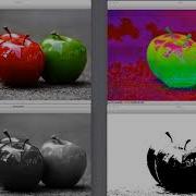 Hands On Machine Learning With OpenCV 4 The Course Overview Packtpub Com