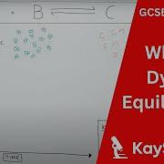 GCSE Chemistry What Is Dynamic Equilibrium