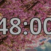 48 Minutes Timer With Music Cherry Blossom Timer