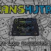 Boredbrain Transmutron Dual FX Loop Crossover Filter For Guitar Pedals Eurorack
