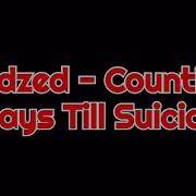 Redzed Counting Days Till Suicide Lyrics