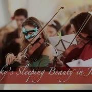 Tchaikovsky S Sleeping Beauty Flash Mob In Jerusalem