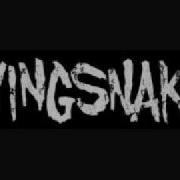 Flyingsnakes Ripe With Plague