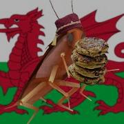 Dancing Cockroach