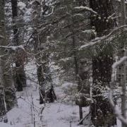 Glidecam Test McCall Idaho