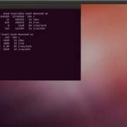 Как просмотреть место на диске в Linux