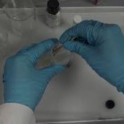 Sample Preparation For Electron Microscopy