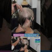 PIXIE BOB IN PROCESS Full Tutorial Linked Below