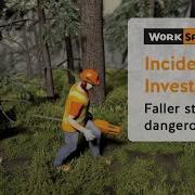 Incident Investigation Top Of Dangerous Tree Strikes Faller WorkSafeBC