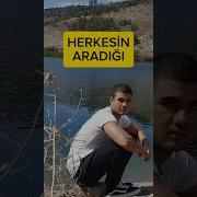 Herkesin Aradığı Şarkılar