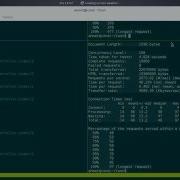 Express Js Vs Phoenix Framework Ab Load Test