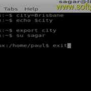 How To Export Environment Variable In Unix