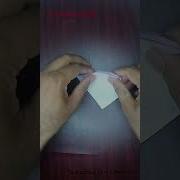 Easy Origami Paper Grasshopper Marki S Origami