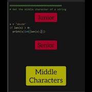 Junior Vs Senior Python Developer Shorts Python Programming Coding