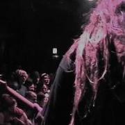 DYSTOPIA 11 02 02 924 Gilman St Berkeley CA FULL SET