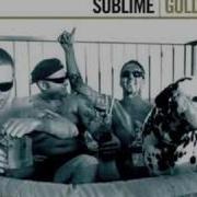 Sublime Don T Push Dog Gone Blues SHS Version
