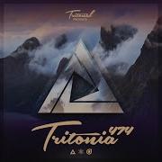 Mystery Tritonia 474