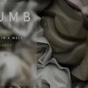 SLUMB Bricks In A Wall X Aurus