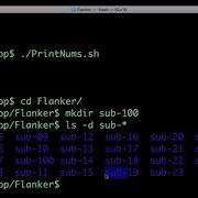 Unix для нейровизуализаторов 7 Скриптинг