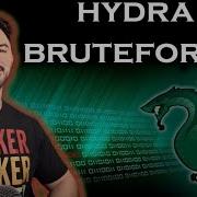 How To Hack Login Services And Brute Forcing With Hydra Kali Linux Tools 2023