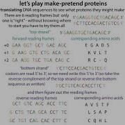 DNA Sequence Terms Complement Reverse Complement Sense Antisense Template Coding Etc