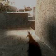 COD2 DZXY NOAIM
