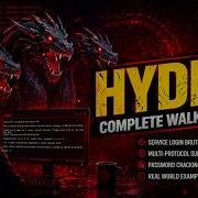 TryHackMe Hydra Basics Hindi Walkthrough Complete Guide