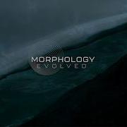 Zero G Morphology Evolved Trailer