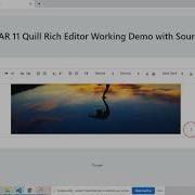 Angular 11 Quill Editor Working Demo