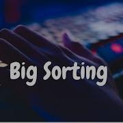 151 Big Sorting Sorting Hackerrank Solution Python