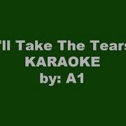 A1 I Ll Take The Tears Karaoke