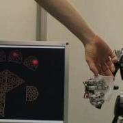 ICub Grasps A Fragile Plastic Cup With Its Tactile Sensors