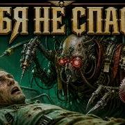 Что На Самом Деле Происходит В ГОСПИТАЛЯХ ИМПЕРИУМА Warhammer 40k