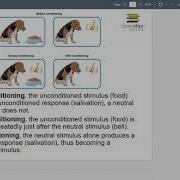 Psychology 101 Chapter 6 Learning Lecture Part 1