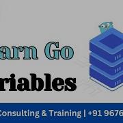 Go Variables Explained A Beginner S Guide Golang