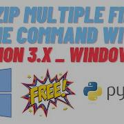 How To Unzip Multiple FileX Zip To Folders Simultaneously With Python 3