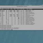 Basic Linux Commands Part 2 Beginner Series
