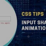 Input Shaking Animation On Invalid Input Only With HTML CSS