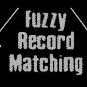 Data Science Fuzzy Record Matching