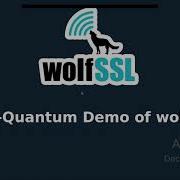 Post Quantum Crypto In WolfSSL
