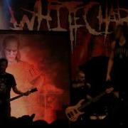 The Acacia Strain Ramirez Live L Impérial De Québec