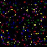 Particles Rendered With JavaScript HTML Canvas