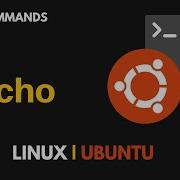 How To Display Text Using Echo Echo Command In Linux Basic Unix Commands