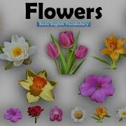 Flowers Name Learn Flowers Name In English Flowers Name Basic English Learning Unit 07