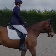 Second Dressage Outing Intro 3 2024 70 68 18th May 2025