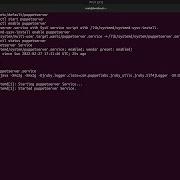 Puppet Installation Configuration Service On Linux