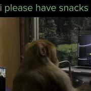 Elon Musk Demonstrates Neuralink Trained Monkey Doing Telepathic Typing