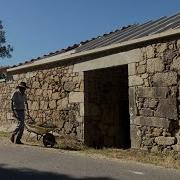 129 My Last Wall To Finish And A Guinea Pig That Powers The Homestead Rebuild
