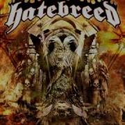 Hatebreed Everyone Bleeds Now