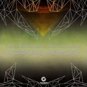 Psilocybe Project Myrah D Maniac Working Memory